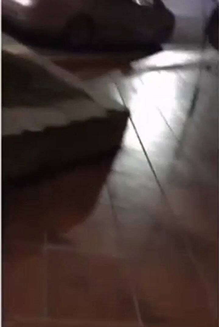 El video que muestra como empezó la pelea