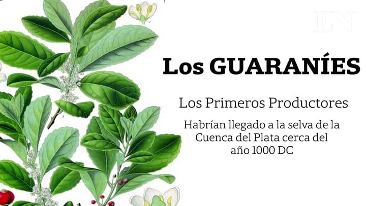 Los Guaraníes