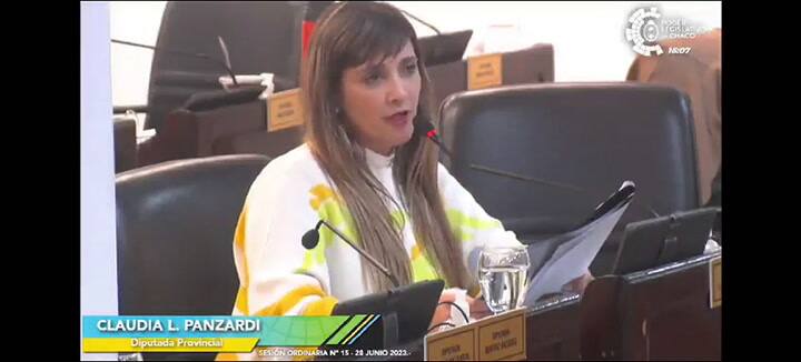 Claudia Panzardi generó polémica en una sesión de la Legislatura de Chaco.