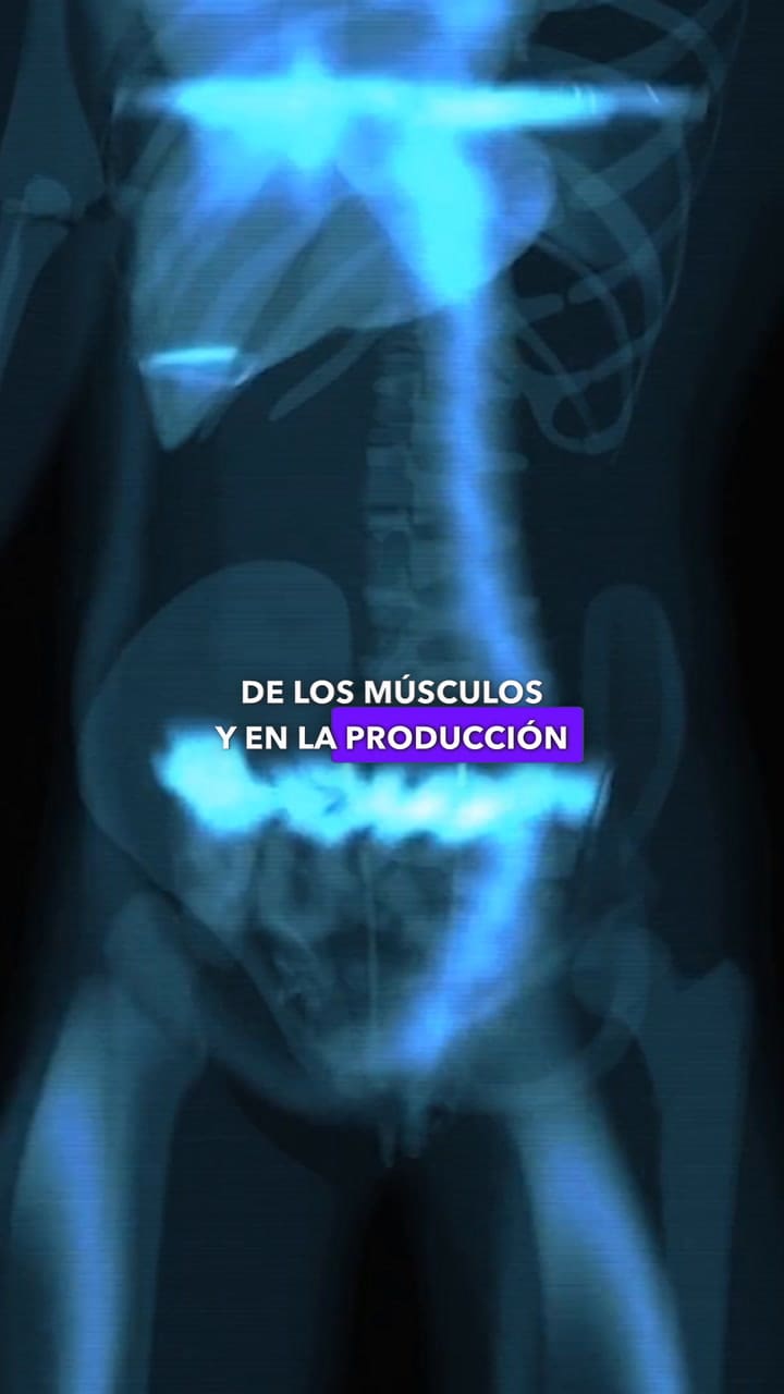 El magnesio es fundamental para la recuperación de los músculos