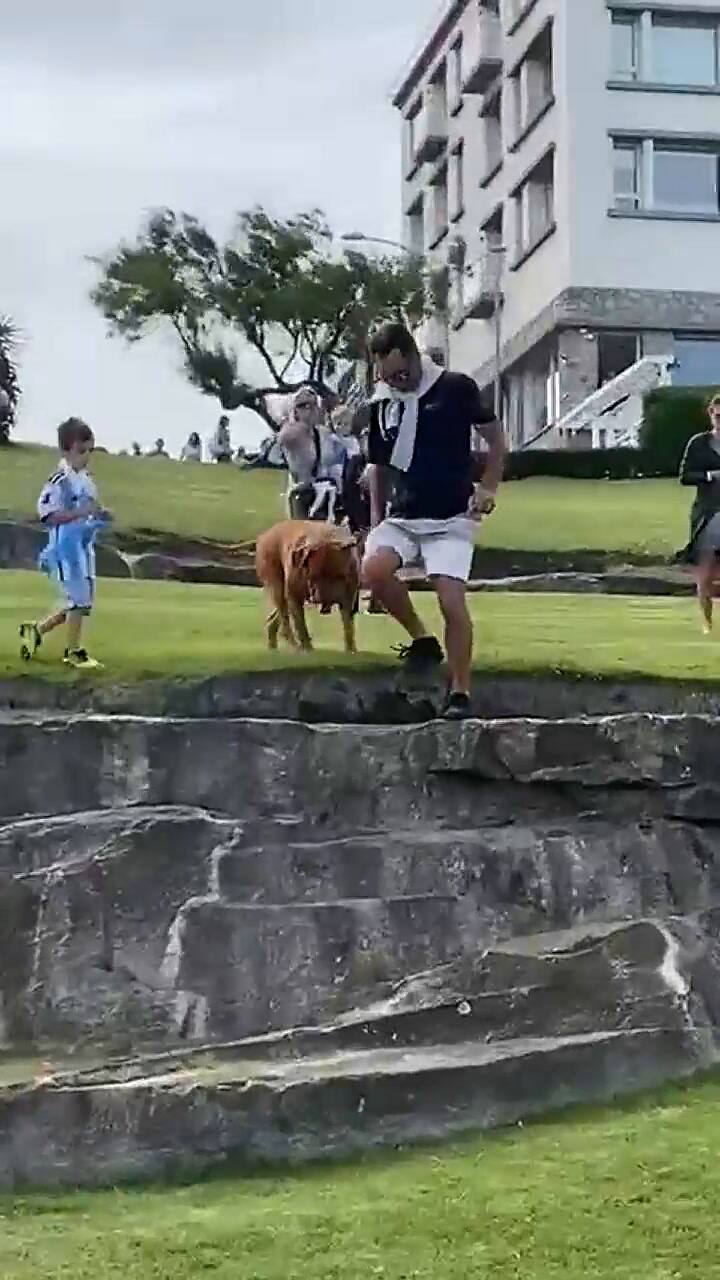 Arrgentina campeón: la insólita canción que llegó a los medios ingleses