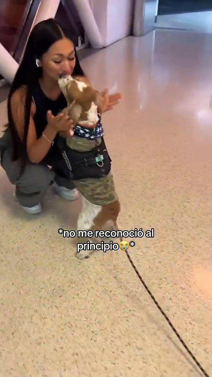 Así fue el reencuentro de una mujer y su perro en el aeropuerto de Miami