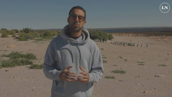 Islote Lobos, el área protegida que se convertirá en el Parque Nacional N°40