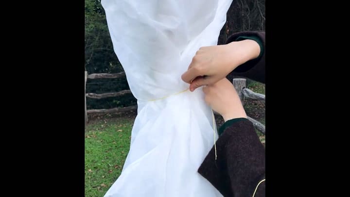 Cómo proteger un árbol