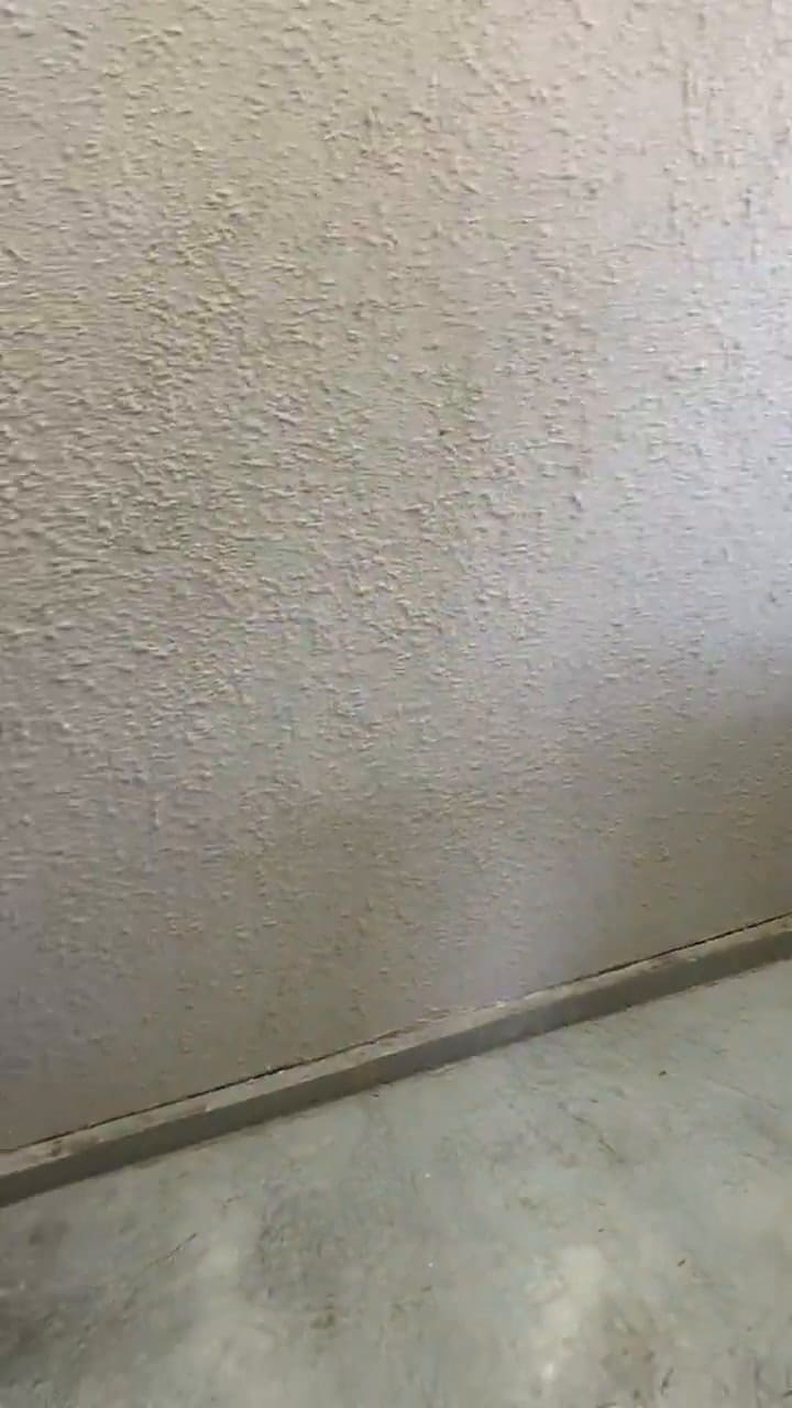 El primer video donde se mostró el interior del cuarto oculto