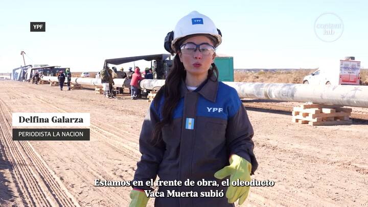 5 Web Vmos Conanimacion