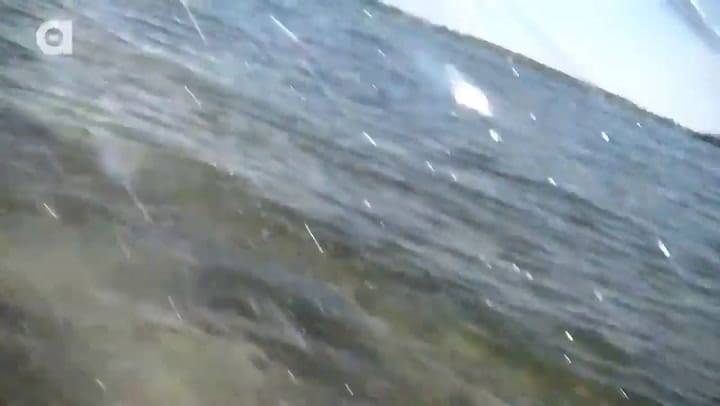 Un hombre buscó una serpiente y recibió una mordedura