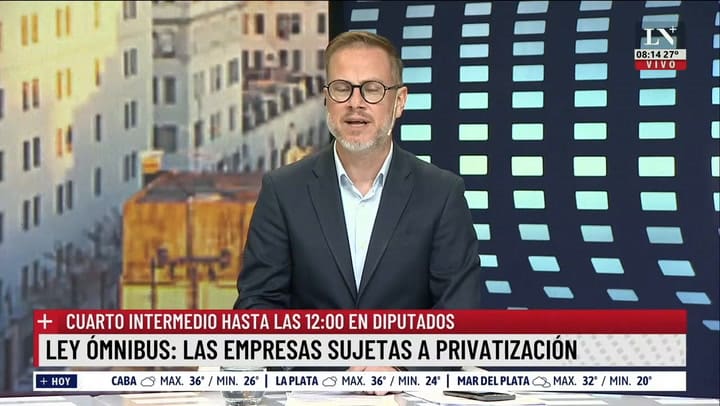 Ley ómnibus: privatizaciones, uno de los artículos mas complicados