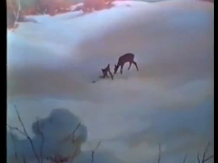 La muerte de la mamá de Bambi