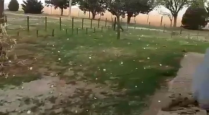 Granizo en seco y de gran tamaño en Bell Ville, Córdoba - Fuente: Twitter