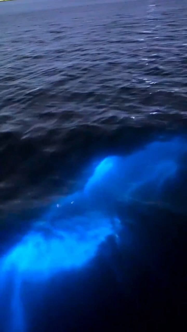 El increíble fenómeno que se observa en una laguna de Florida