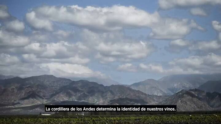 LN ZUCCARDI 13.04.21