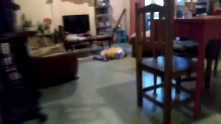 Recrearon la presentación de Alf en tiempos de cuarentena