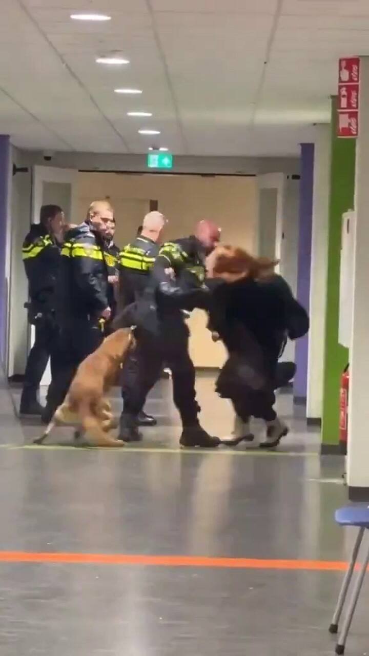 Un policía tiró al piso a una mujer embarazada y se desató una feroz pelea en Países Bajos