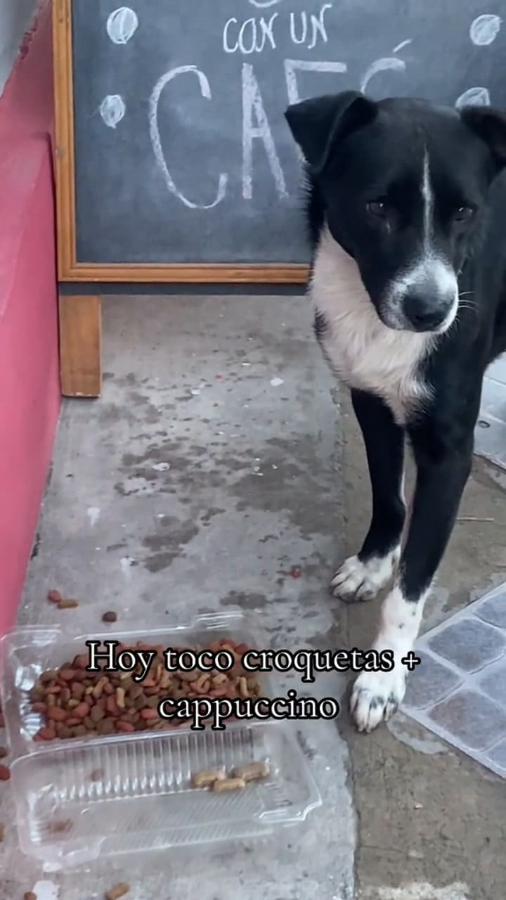 Buddys recibe el cuidado de Diego, Gabriela y otros vecinos