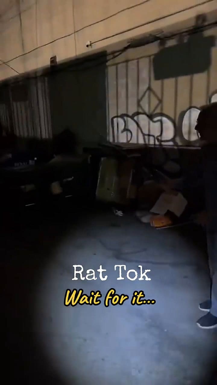 Se hizo famoso por publicar videos de ratas en Nueva York