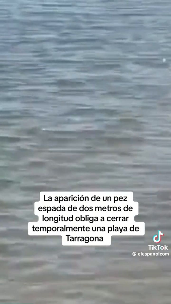 Whatsapp Video 2024-07-22 At 11.03.50