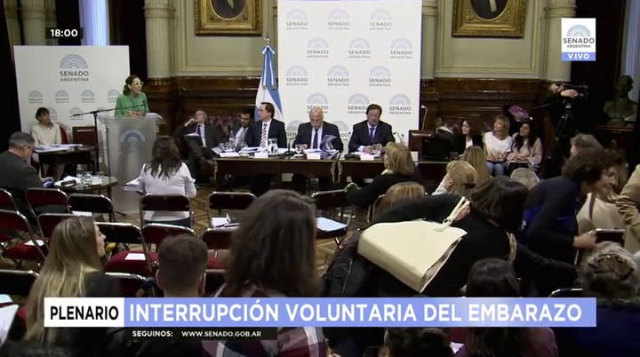 La exposición de Marisa Herrera en el Senado por la legalización del aborto - Fuente: Youtube