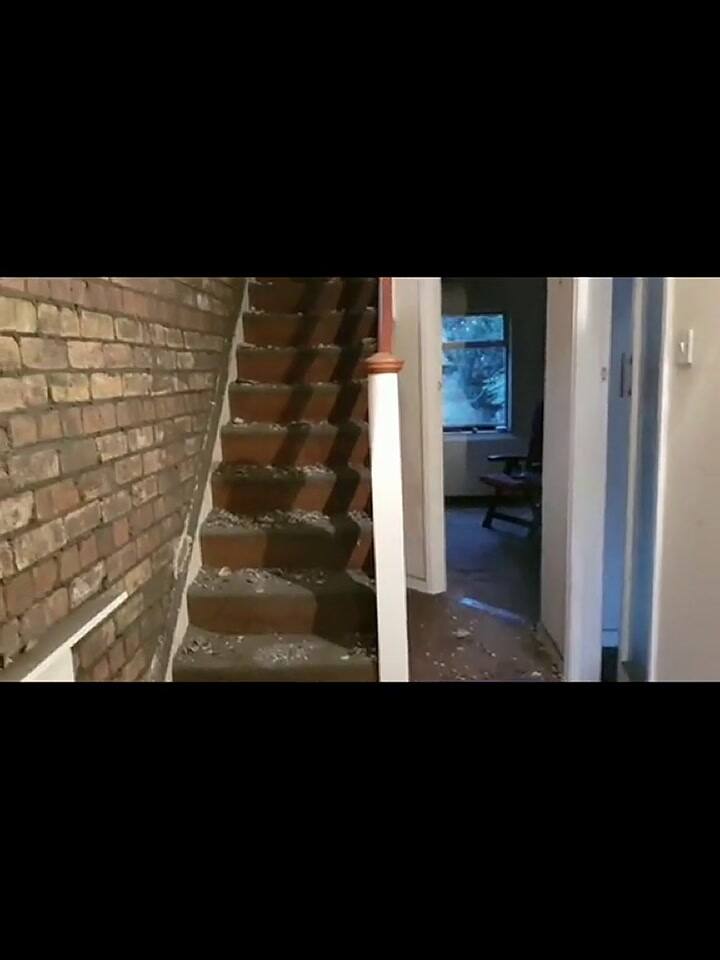 Dejó a su pareja para que quite un empapelado y al regresar no pudo creer lo que vio