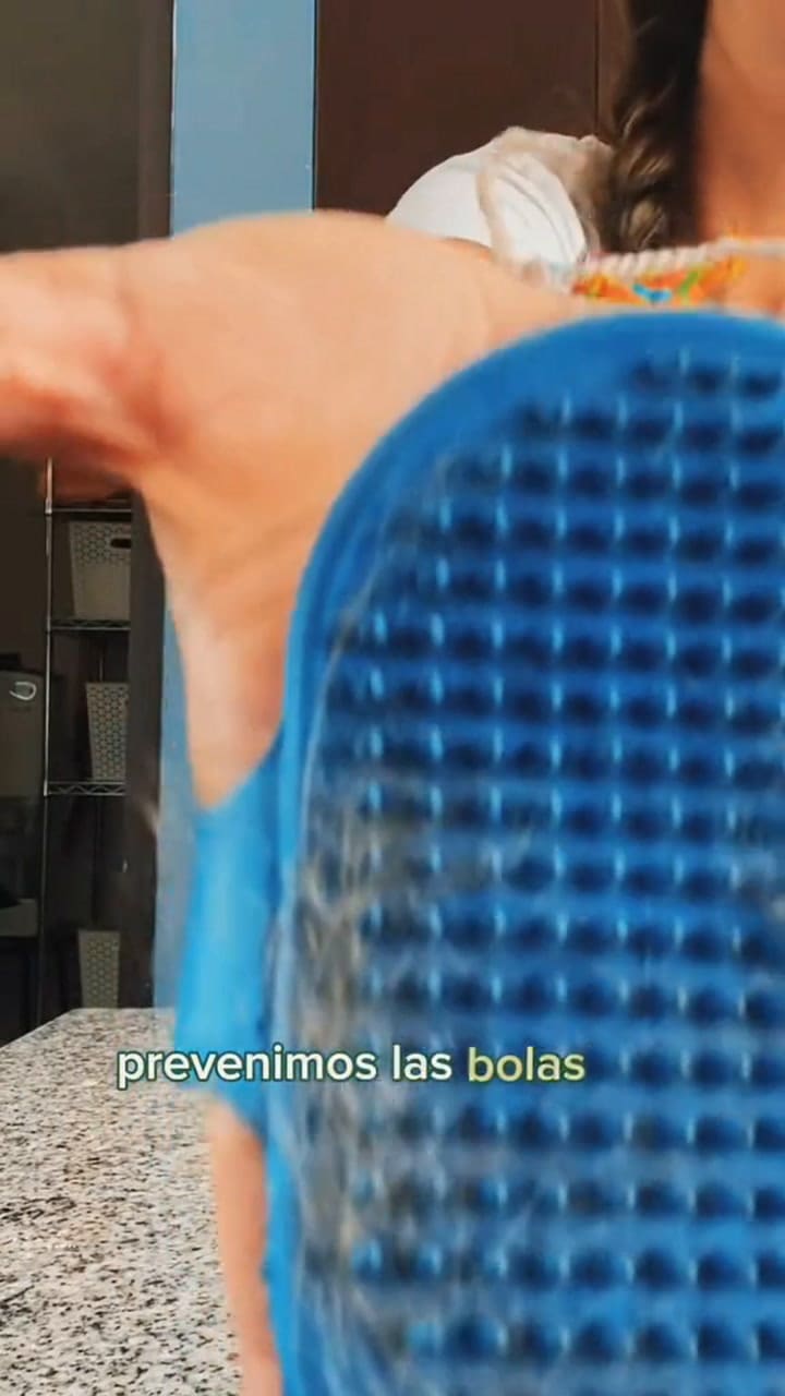 El motivo detrás del vómito frecuente de los gatos