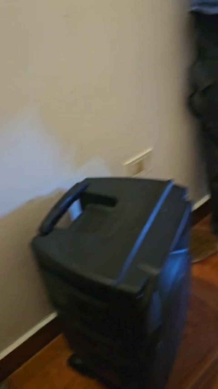 Yeico, el mono carayá rescatado en Santa Cruz