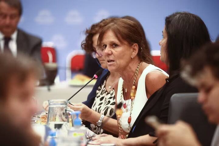 “Los pibes se están muriendo”. El conmovedor relato Marina Charpentier ante diputados que analizan la ley de salud mental