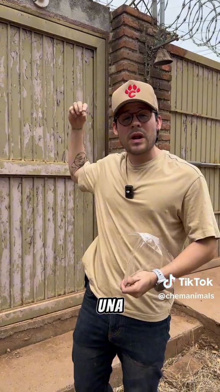 Truco casero para repeler a las serpientes de casa