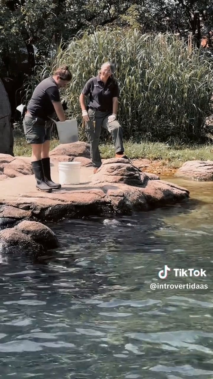 El zoológico del Bronx es gratis los miércoles