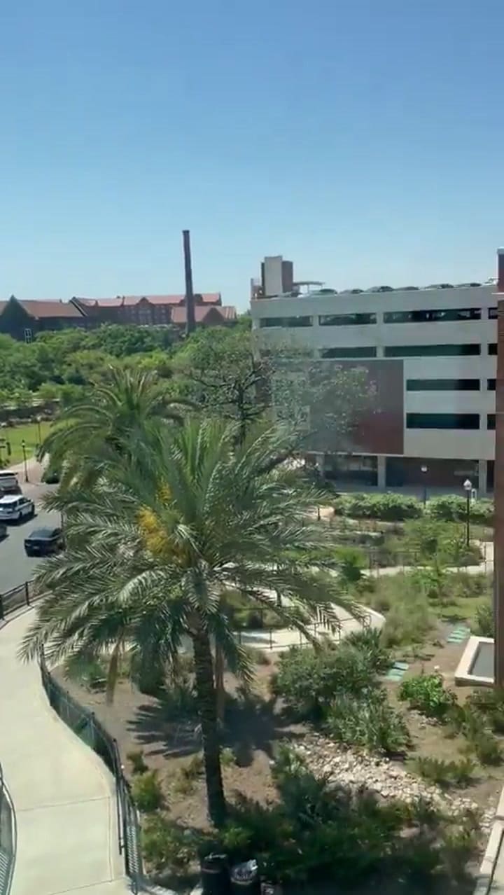 Tiroteo en una universidad de Florida