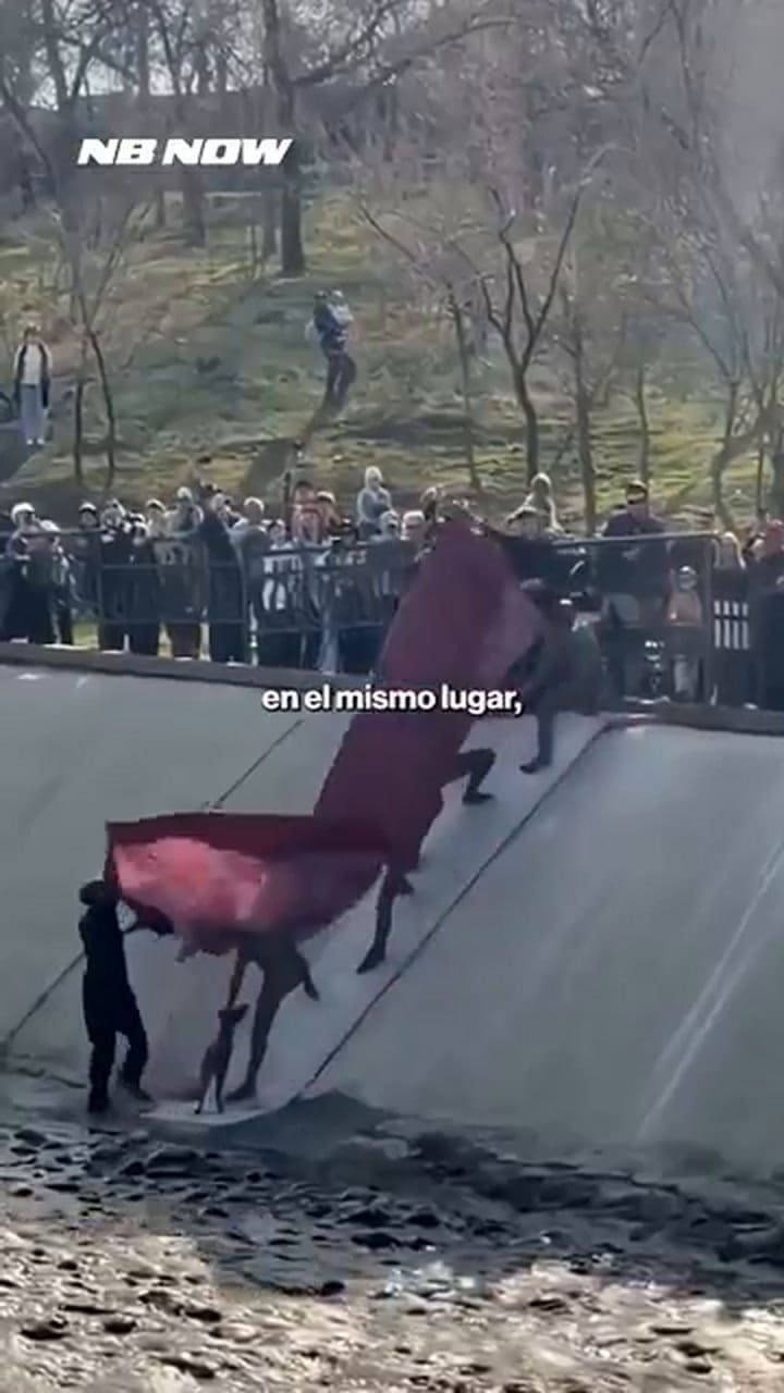 A história completa do resgate de cães vadios no Cazaquistão