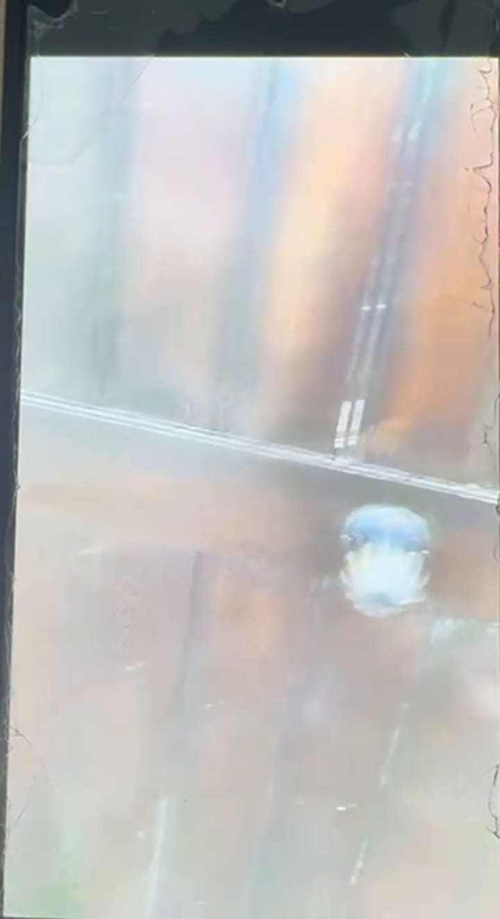 Video de la marcación de vivienda en San Isidro