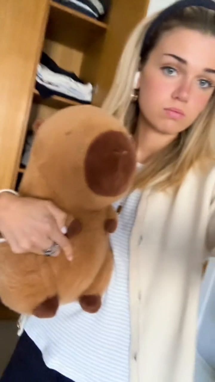 Ssstik.io @Silly Lettuce 1726870328341