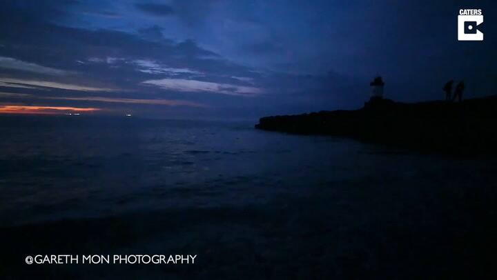 Las maravillosas imágenes de la magia del plancton bioluminiscente en las playas de Gales