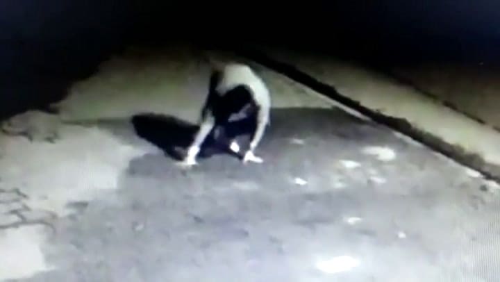 La muerte de un ladrón a manos de un herrero jubilado en Quilmes