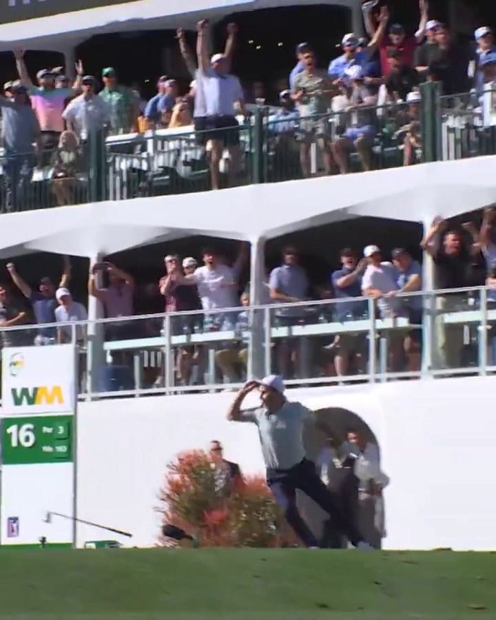 (GIF) El tíro mágico de Grillo