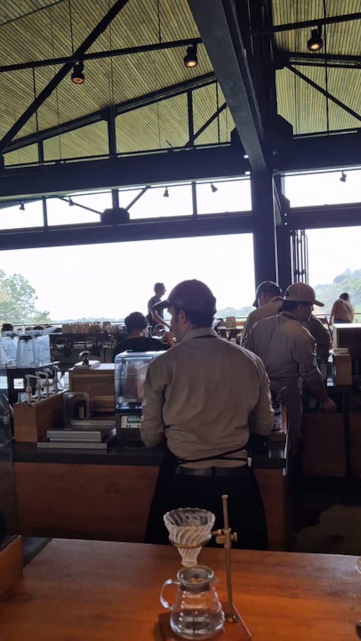 La especialidad de Costa Rica: la cafetería