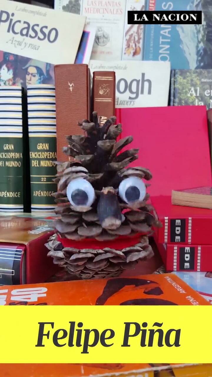 #ZonaDeCampi: El pintoresco análisis de la actualidad de “Felipe Piña”