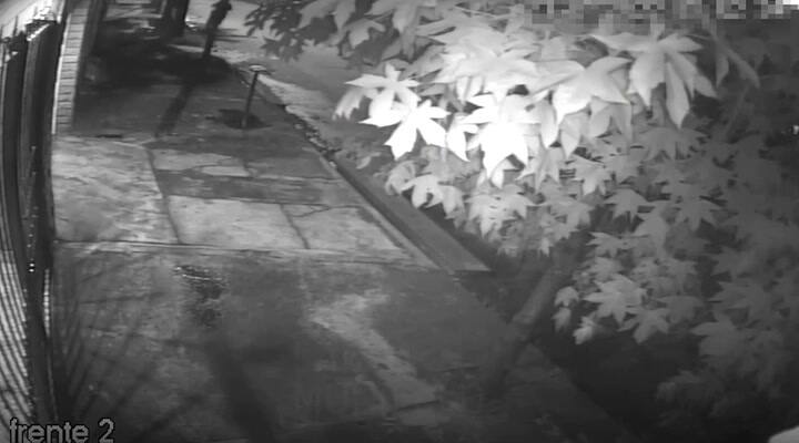 Fueron a detener a un ladrón y lo encontraron en un momento íntimo con su pareja