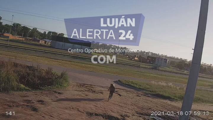 Así se trasladaba esta mañana el sospechoso