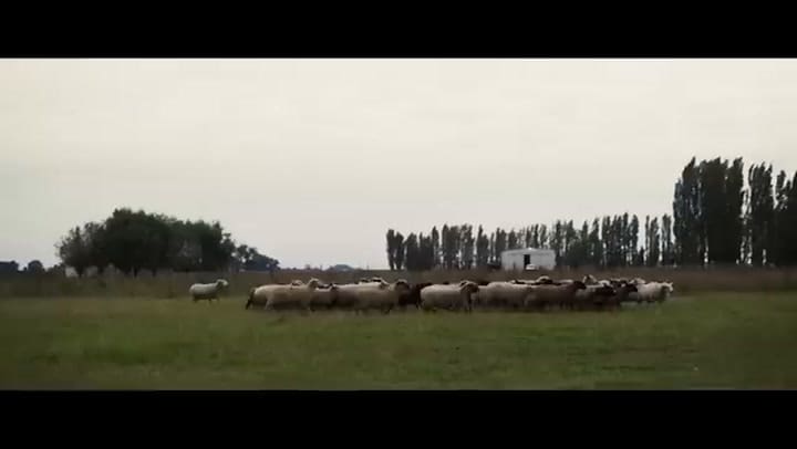 Cuando Acecha La Maldad Trailer Oficial (2023)