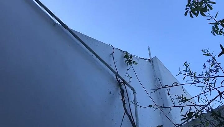 Preocupa el avance de ratas en Buenos Aires
