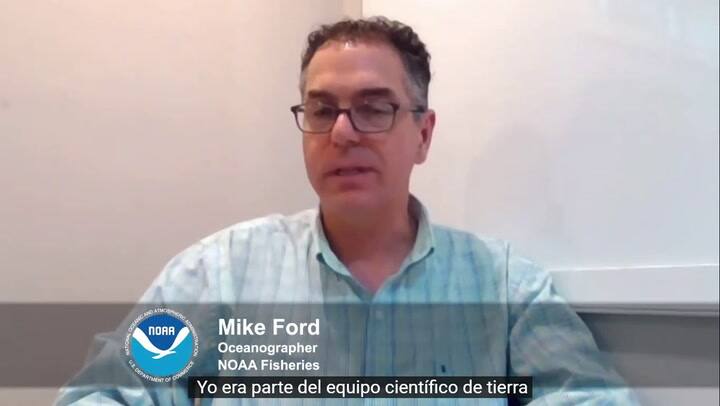 Encuentran una nueva especie en las profundidades del océano - Fuente: NOAA Fisheries