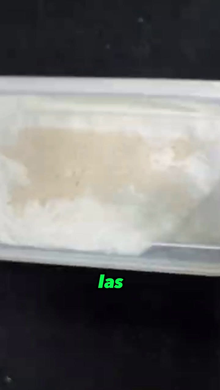 ✅Cómo Hacer Crecer Un Naranjo Más Rápido