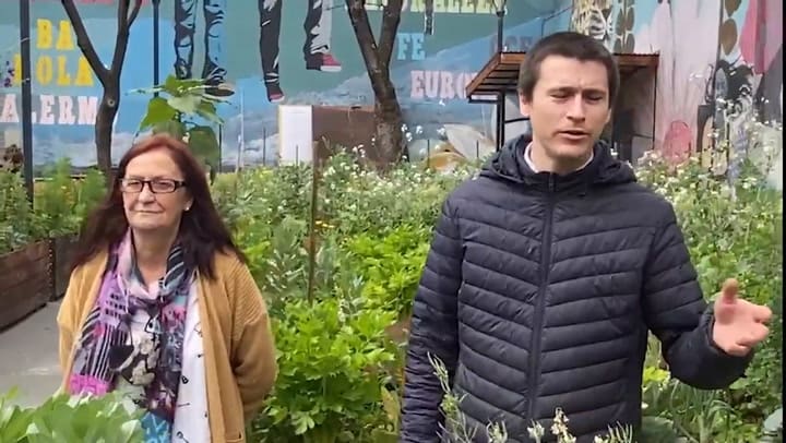 Huerta urbana Luna de Enfrente