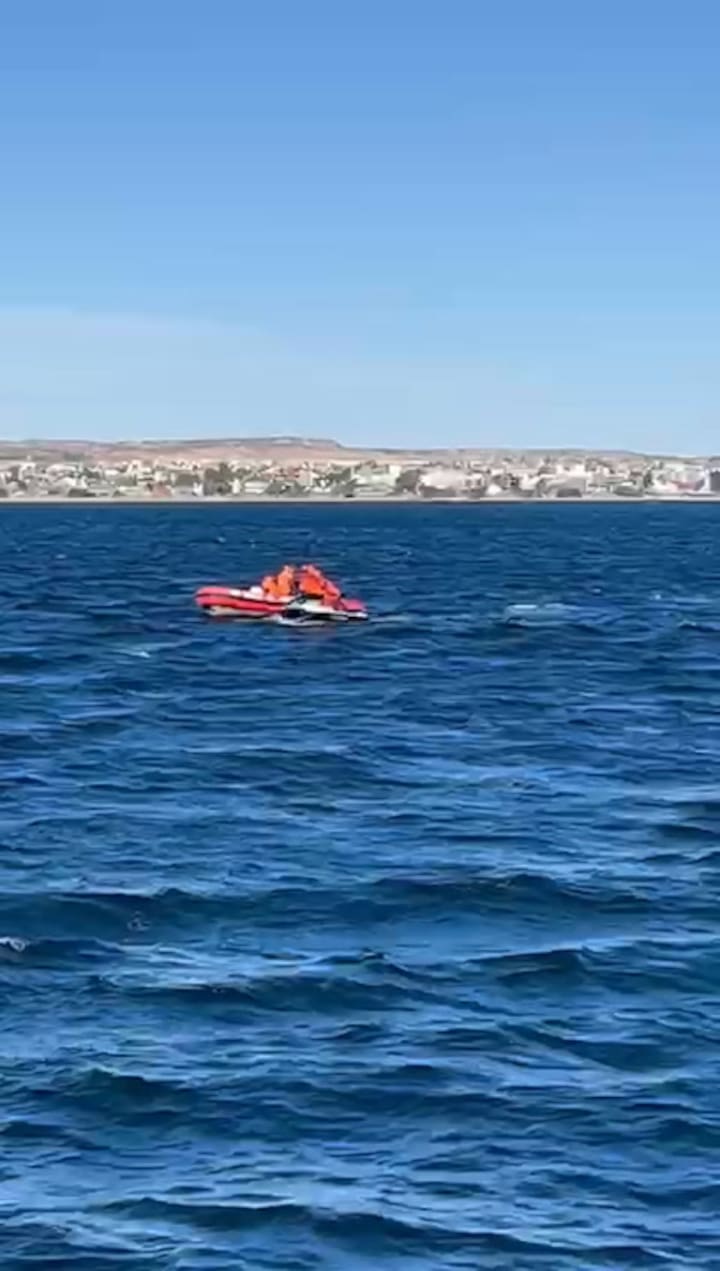 La búsqueda de Sofía Devries en Puerto Madryn. Crédito: Prefectura Naval Argentina