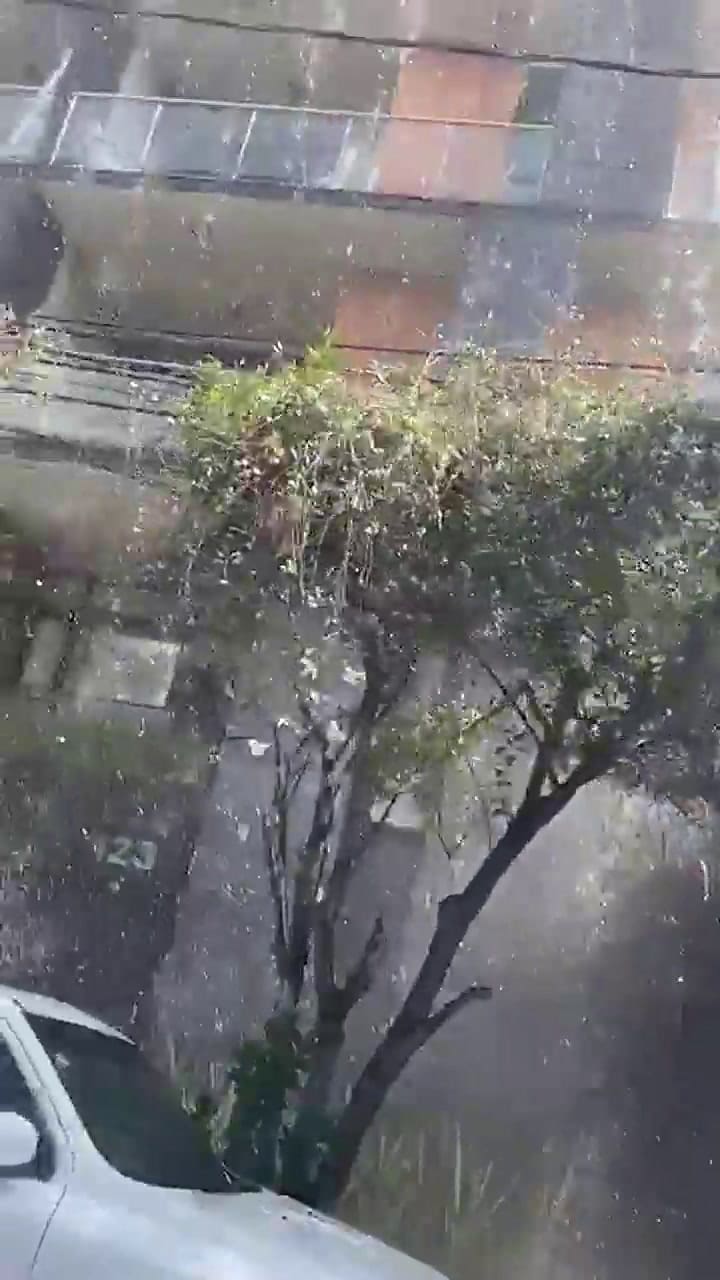 Así rebalsaba una pileta de la terraza de un edificio a causa del terremoto en México