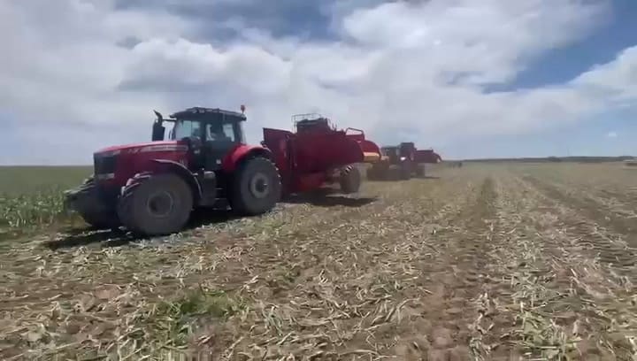 Los equipos del productor mientras realizaban las tareas de cosecha