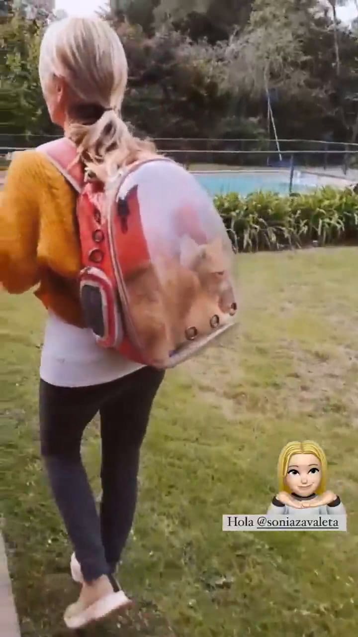 Las trillizas de oro mostraron la particular mochila para transportar a su gato