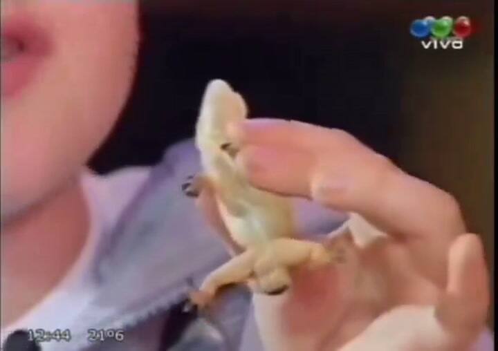 Ssstwitter.com 1706524420026