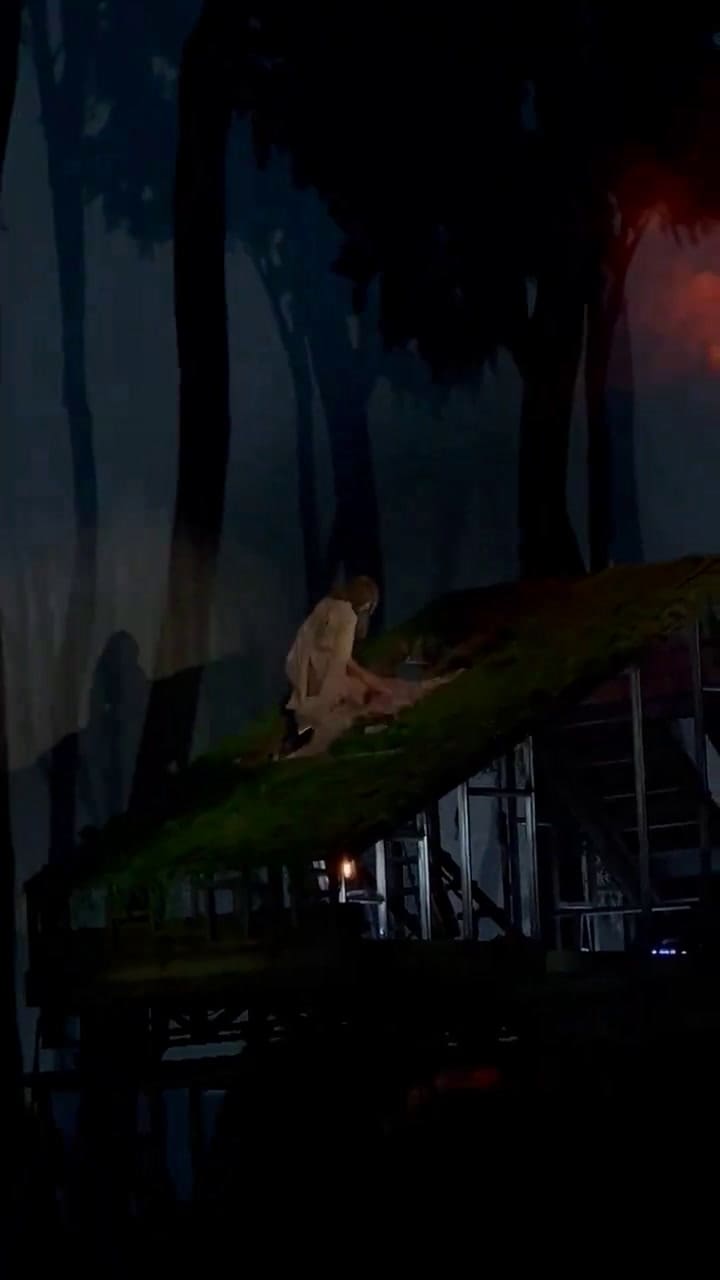 El accidentado show de Taylor Swift en Japón